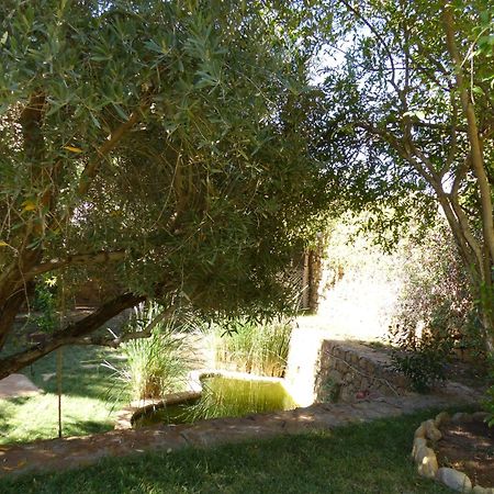 Agadir-Taghazout Magnifique Villa Dar Lina 4 Etoiles Kültér fotó